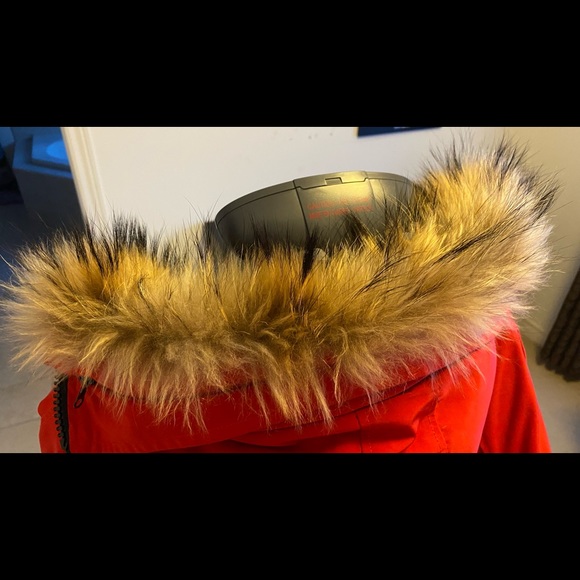 Red Canada Goose Chilliwack jacket large - Picture 7 of 7